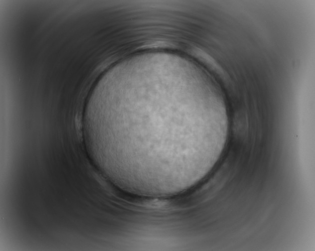 X0000089721321200707121424