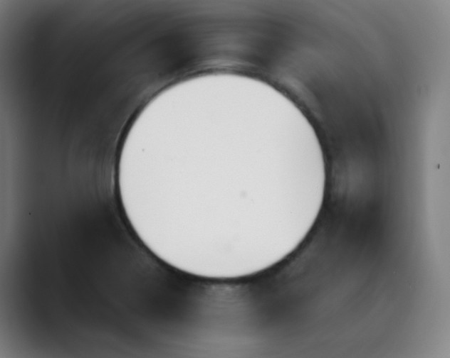 X0000089721322200707121424