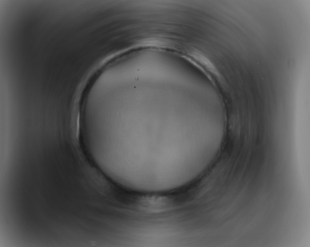 X0000089721323200707121424