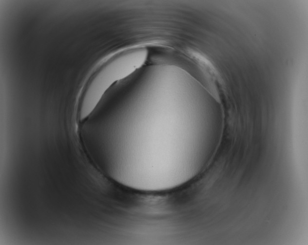 X0000089721324200707121424