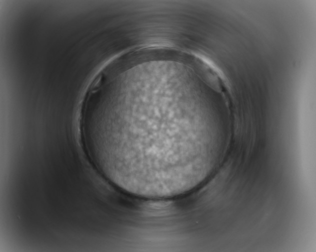 X0000089721325200707121424