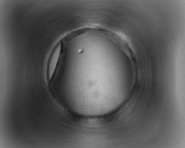 X0000089721326200707121424