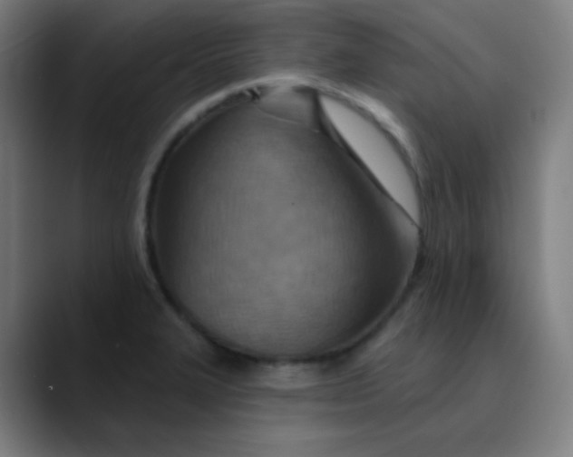 X0000089721327200707121424