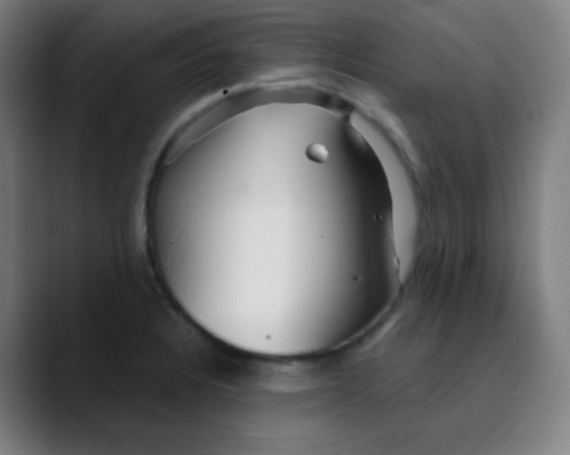 X0000089721328200707121424