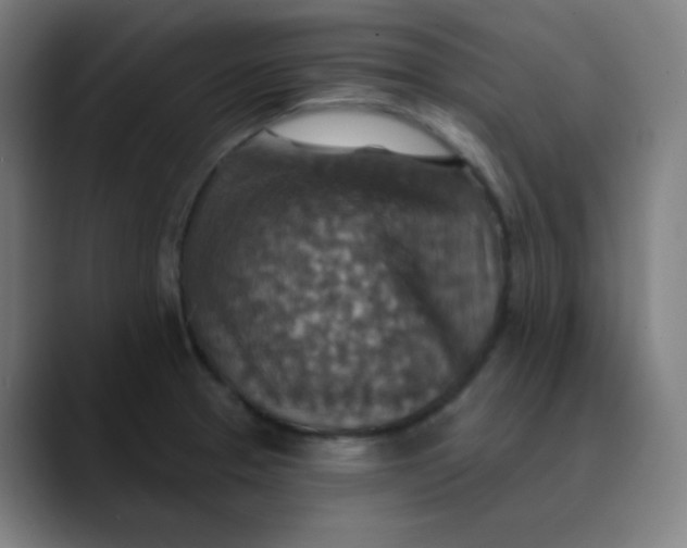 X0000089721329200707121424