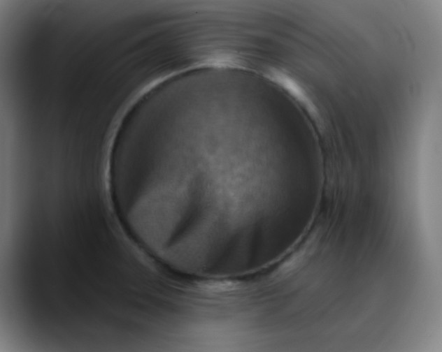 X0000089721331200707121424