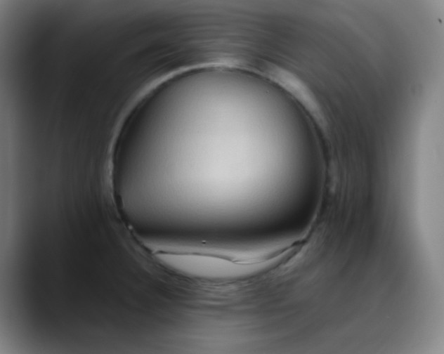 X0000089721332200707121424