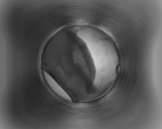 X0000089721333200707121424