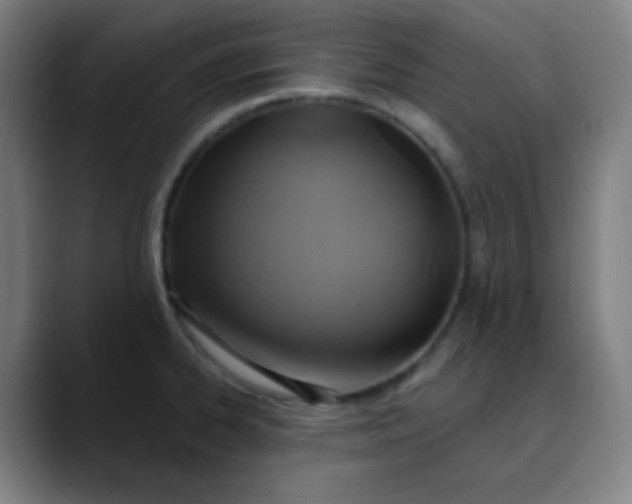 X0000089721334200707121424