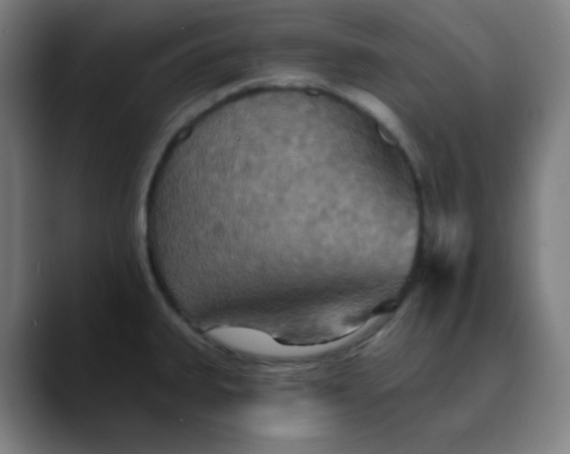 X0000089721335200707121424