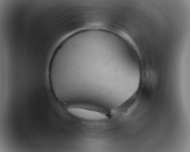 X0000089721336200707121424