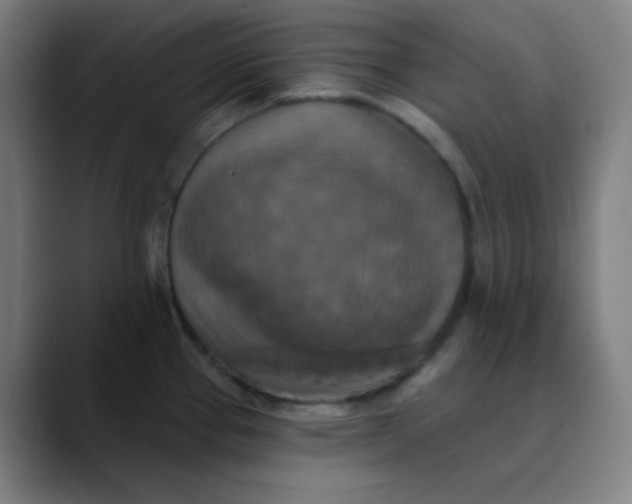 X0000089721337200707121424