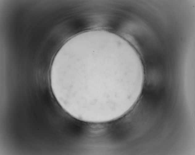 X0000089721338200707121424