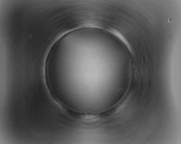 X0000089721339200707121424