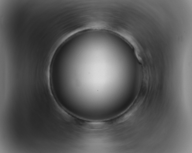 X0000089721343200707121424