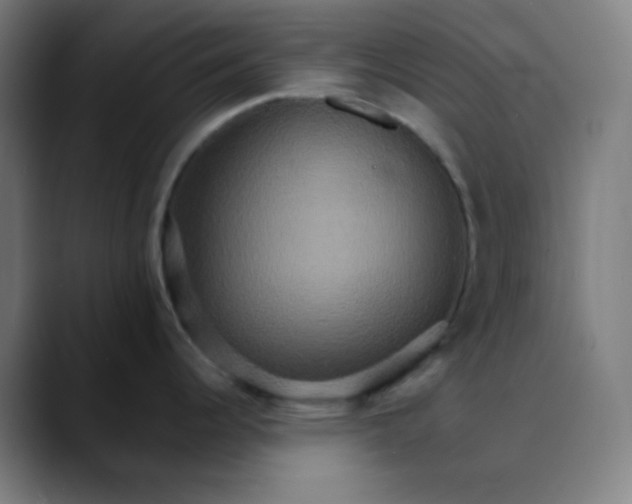 X0000089721344200707121424