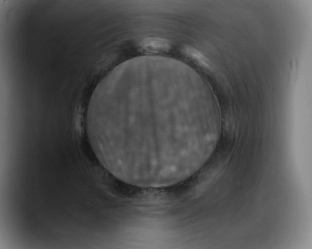 X0000089721346200707121423