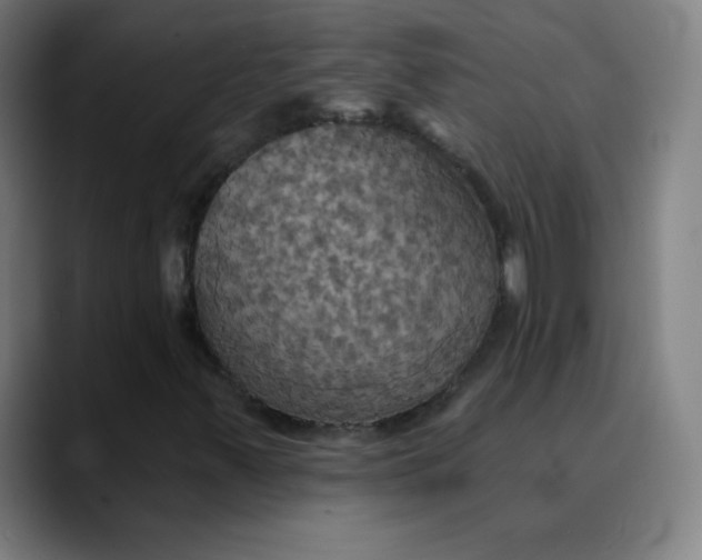 X0000089721347200707121423