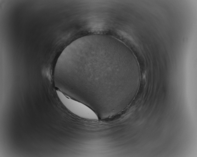 X0000089721348200707121423