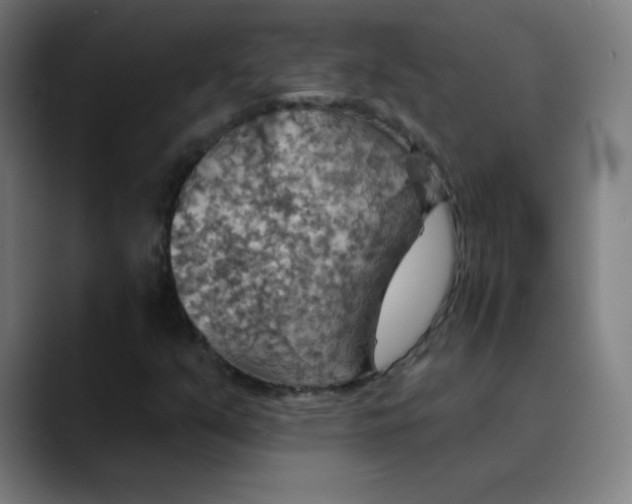 X0000089721351200707121423