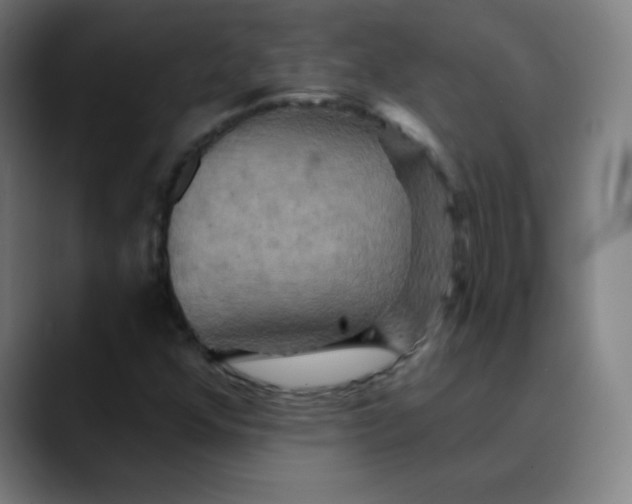 X0000089721352200707121423