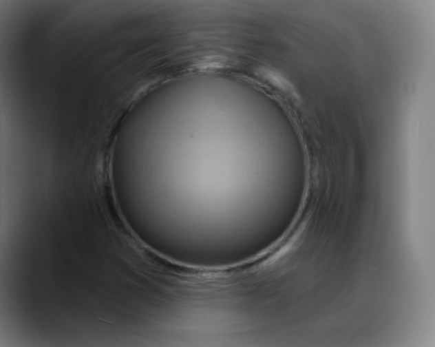 X0000089721353200707121423