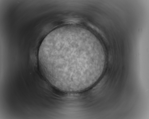 X0000089721354200707121423