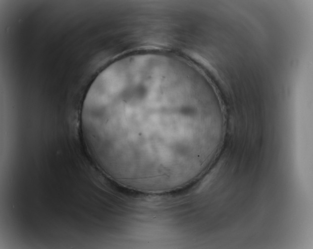 X0000089721355200707121423