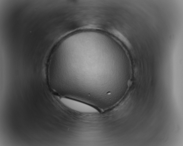 X0000089721356200707121423