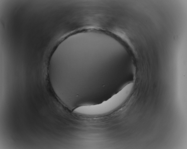 X0000089721359200707121423