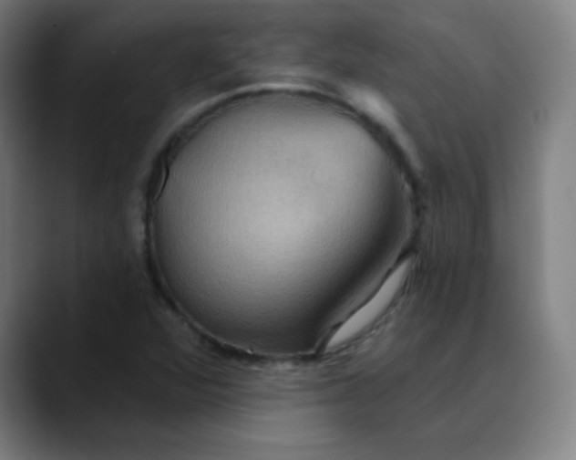 X0000089721360200707121423