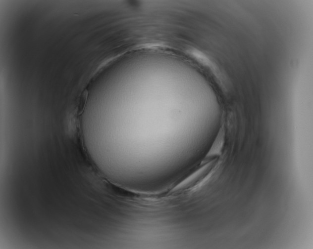 X0000089721361200707121423