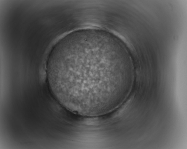 X0000089721363200707121423