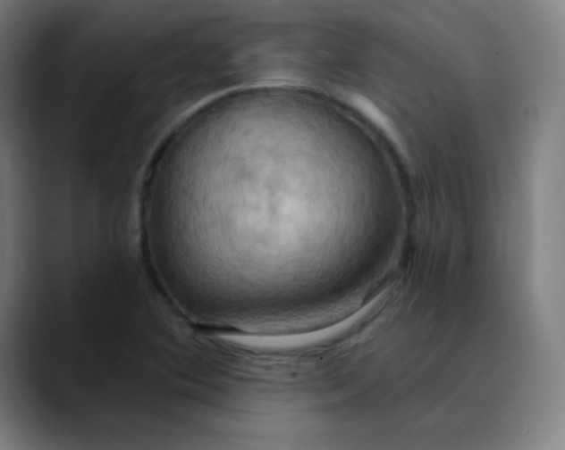 X0000089721364200707121423