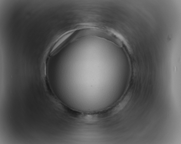 X0000089721365200707121423