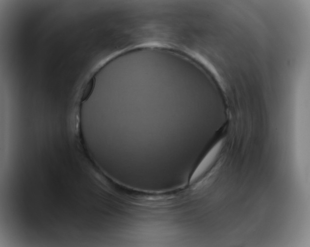 X0000089721367200707121423