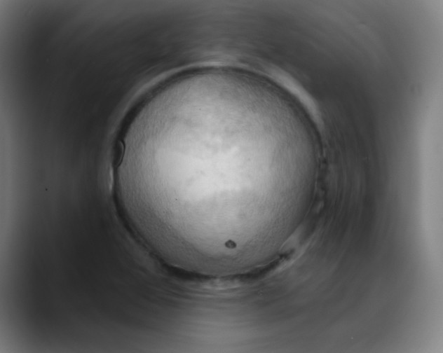 X0000089721368200707121423