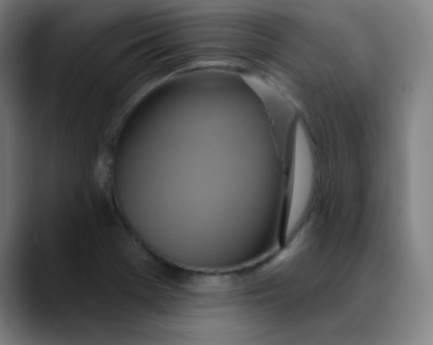 X0000089721369200707121423