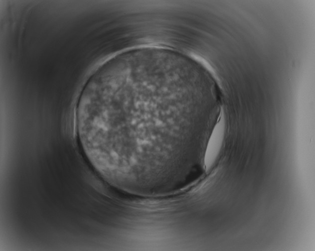 X0000089721371200707121423