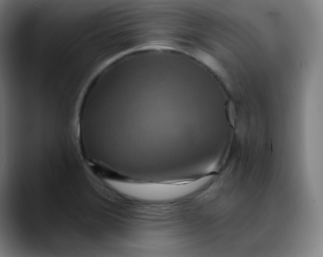 X0000089721372200707121423