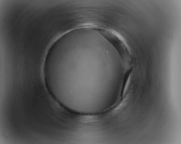 X0000089721373200707121423