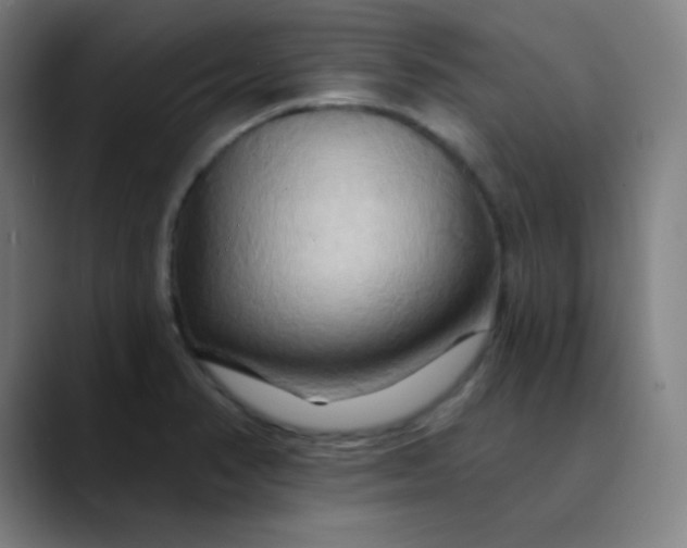 X0000089721374200707121423