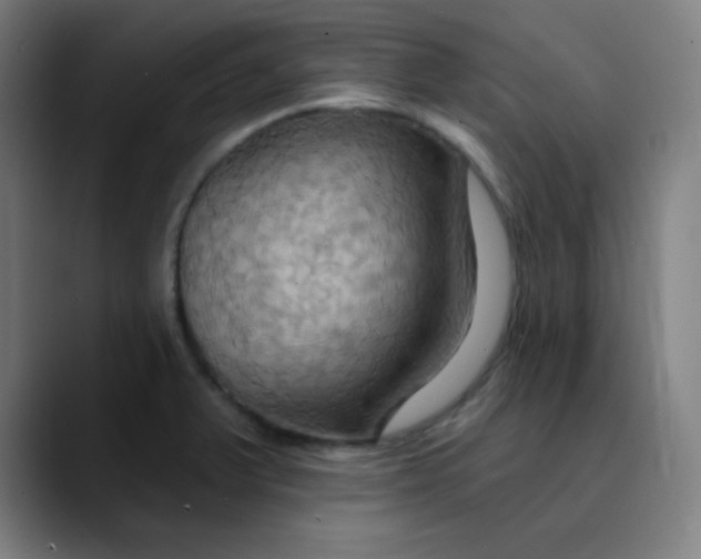 X0000089721375200707121423