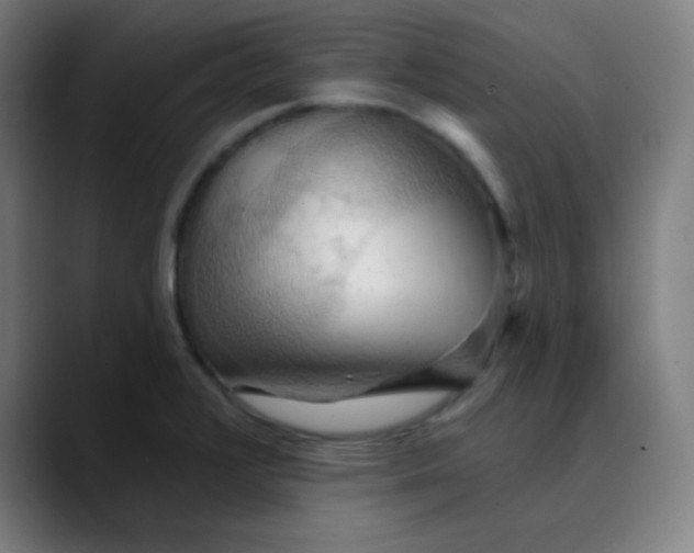 X0000089721376200707121423