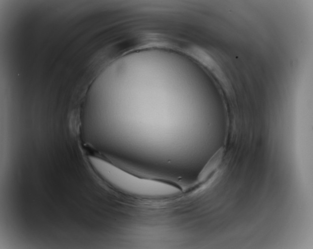 X0000089721377200707121423