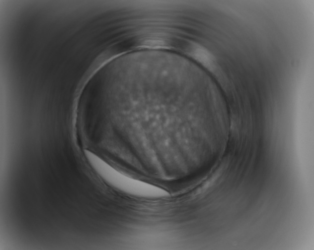 X0000089721378200707121423