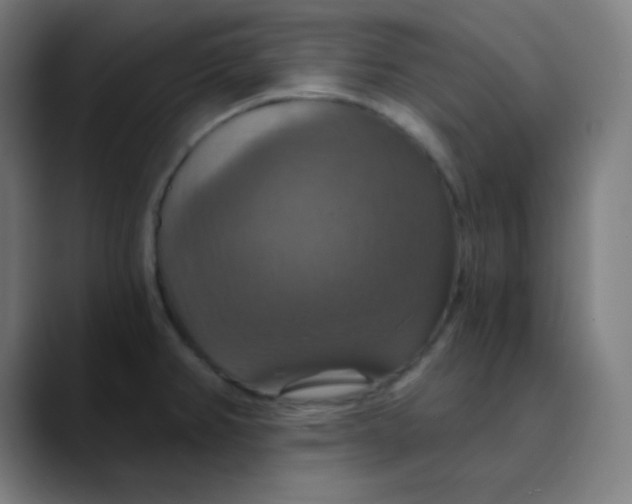 X0000089721382200707121423