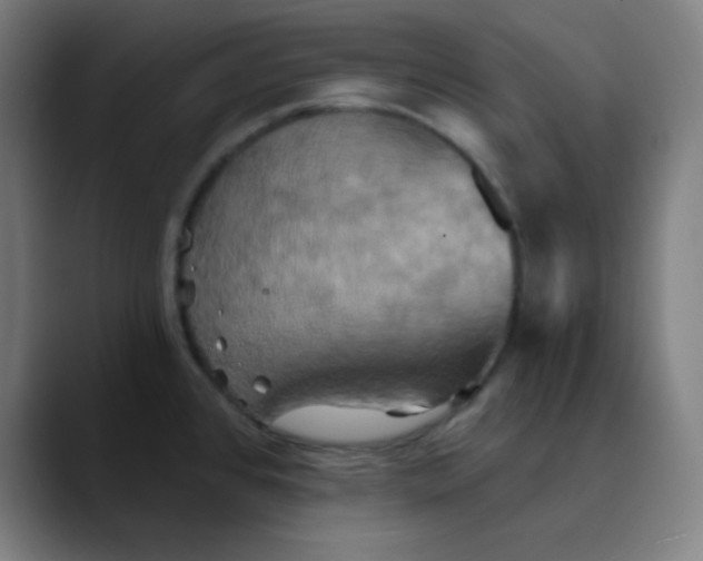 X0000089721384200707121423