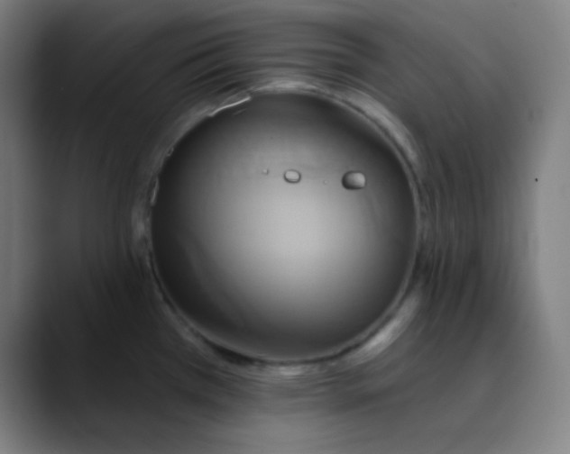 X0000089721385200707121423