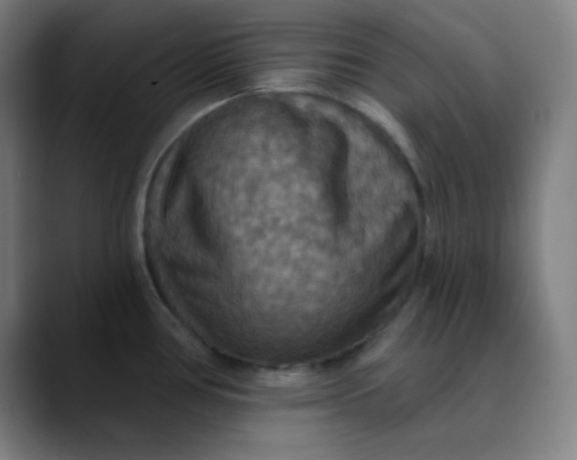 X0000089721386200707121423